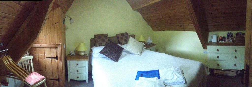 Отели типа «постель и завтрак» Stepping Stone Bed and Breakfast Glencar